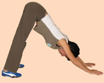 Gymnastique posturale